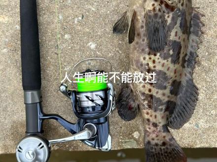 走啊去东海岸钓鱼啊😂
钓不到鱼就捡螺啊
捡不到螺就喝口海水啊
钓鱼人从不打龟🎣
#钓鱼人 #钓鱼才是抖音运动顶流 #路亚 #东海岸 #爱生活爱钓鱼