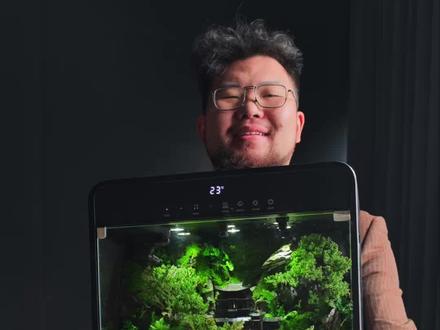 桌面上自然的、智能的、独特的小天地 #雨林缸造景 #移景窗 #装修设计 #桌面摆件