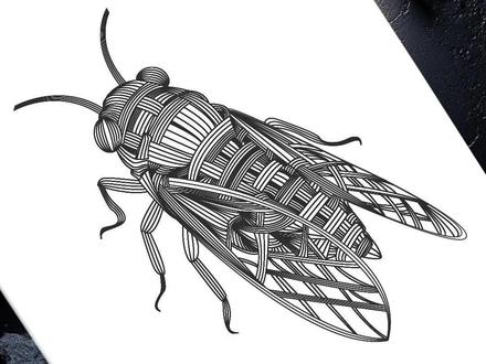 知了蝉竹编绘画过程#绘画 #线条画