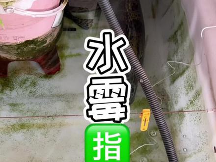 很多人不懂鱼缸鱼池放水族盐的原理是什么 还问我放了鱼还能吃吗!?我... #水族 #养鱼人