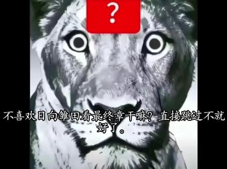 总结:雏黑选择看不见。#雏田NB #雏田无罪#火影忍者#反雏黑