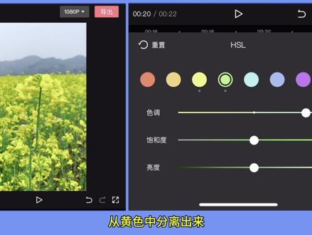 色相色温分离调色方法#调色教程 #春日