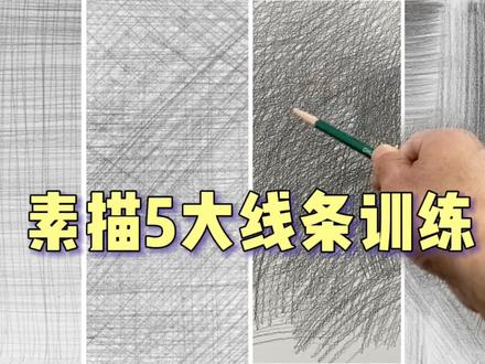 零基础素描入门必备【线条训练】跟我一起排线条