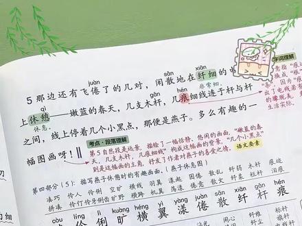 2026版教材笔记来了!与课本一一样,不用借课本预习课文了#小学生 #课堂笔记 #小学语文