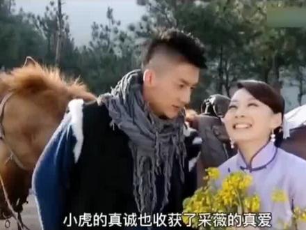 可以不爱请不要伤害,
