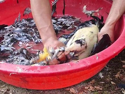 第一次拍鼓励支持一下😉