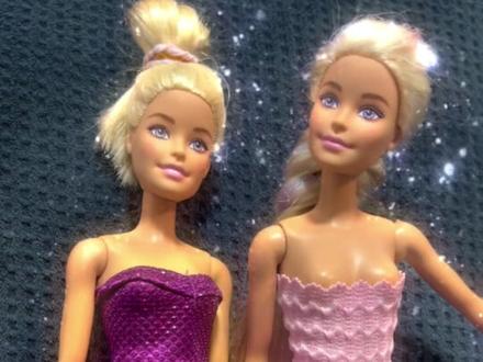 #芭比 #换装
#儿童动画
米娜与佐伊的舞会👯♀️换装