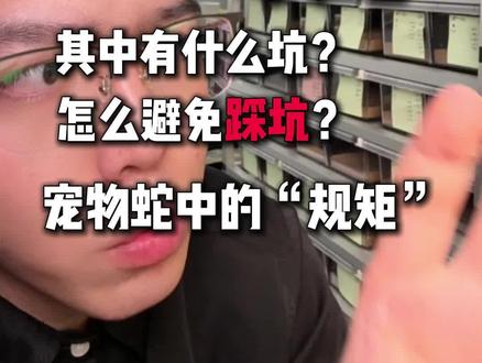 宠物蛇的内幕以及黑话
#爬宠 #宠物蛇 #黑王蛇 #玉米蛇 #守宫