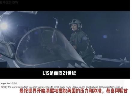 L15高级教练机成香饽饽,外国网友:这才是真正的“教练” #科技 #厉害了我的国🇨🇳 #大国重器