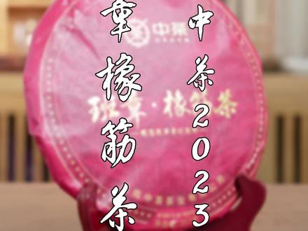 什么是普洱茶中的橡筋饼?#中茶 #班章 #典少说茶