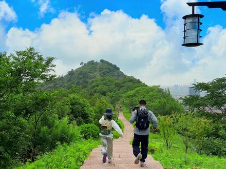 江浙沪亲子徒步
萧山长山游步道一条设施超级完善且超适合亲子的路线
路线简单,景色超美
#户外徒步登山 #亲子户外活动 #旅行推荐官 #攻略合伙人 #户外徒步
🔴路线
✅有很多个入口,建议东西贯穿不会错过任何一个景点(累了也可以随时从别的入口下山)
✅福庆寺(东入口)-瞭望台-碉堡-育英实验学校(海塘路)
✅全程4公里,累计爬升100米,用时2小时
从东往西,爬升小,难度低
东西两边入口都有厕所,全程休息亭很多
🟡交通
✅自驾定位萧山福庆寺(东入口)
门口有停车场,车位不多
✅地铁5号线姑娘桥站A口出-步行导航福庆寺15分钟
🔵装备
全程台阶建议穿带有缓冲且舒适的户外鞋
①防蚊喷雾:夏季蚊虫多,防蚊是户外必修课
②防晒霜、遮阳帽:中间几乎没有树荫,一定要做好防晒
③矿泉水、电解质饮料、巧克力、水果
❗️户外出行保护环境,请带走垃圾,无痕户外
❗️每周一山,有趣的户外徒步路线持续分享中