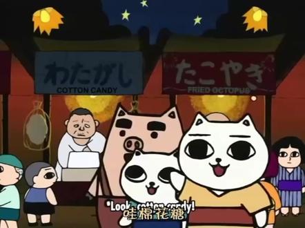 #萌物 #猎奇 #猫汤 依旧爱猪tv