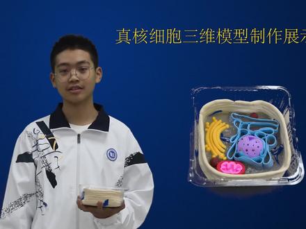 真核细胞三维模型制作展示-1