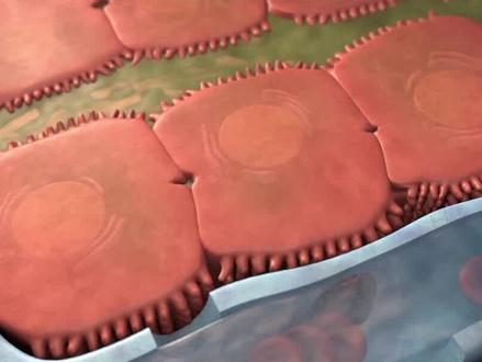 #妊娠期 #肝内胆汁淤积症 是什么症状,以哪种方式分娩适宜?#医学科普