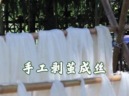 中国丝绸文化#抽丝剥茧 #蚕丝 #蚕 家里以前有木有 剥过蚕茧