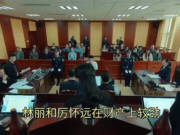 林丽厉怀远财产较劲,厉怀远正式回应,离婚开庭细节曝光