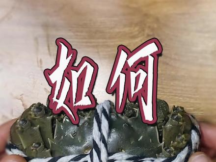 #螃蟹 怎么绑,看完这个视频,你还没学会吗?#大闸蟹 #涨知识 #日常