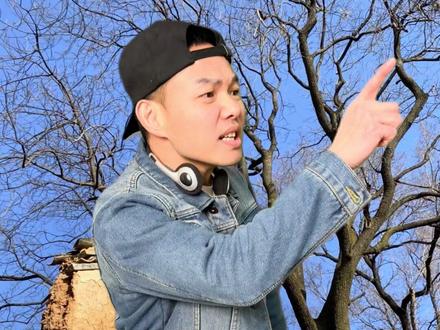 童年里的神秘小飞机#知识科普 #每天跟我涨知识 #上热搜 #科普 #创作者扶持计划