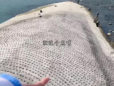 都江堰|听闻鱼嘴今年会进行大岁修“十年一次”#四川旅游宁宁#光年故事