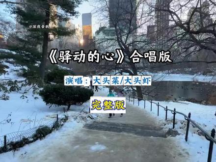 《驿动的心》大头菜/大头针合唱版#驿动的心合唱版 #驿动的心完整版 #大头菜/大头虾#完整版歌曲 #音乐推荐