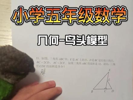 小学数学思维训练,每日一题,几何-鸟头模型#数学思维 #数学 #小学生作业 #奥数#五年级数学