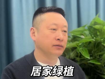 家里养什么植物更能优化环境,增加空间氛围感,富贵竹可选