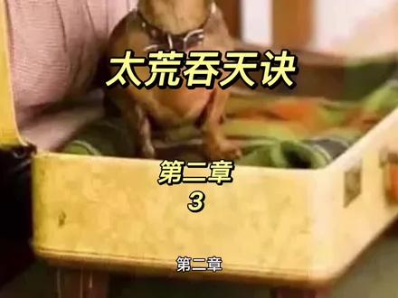 #热门 #小说 后续持续更新中