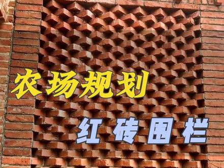 这样的红砖围栏设计大家怎么样,是不是很有从创意#攀爬虎集团 #红砖 #小院改造 #小院时光 #墙面装饰