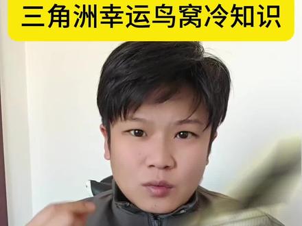 三角洲幸运鸟窝活动四个知识点#三角洲行动 #三角洲幸运鸟窝活动 #2026第一把三角洲 #三角洲超燃卡点混剪