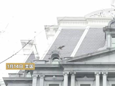 凤凰记者连线|丹麦与格陵兰代表现身白宫与万斯、鲁比奥会晤,同一天丹麦与北约对格陵兰岛增兵#美国 #格陵兰 #北约