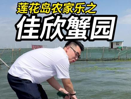 9.9✅两只大闸蟹,288✅大闸蟹农家乐,自己去阳澄湖围网里捞大闸蟹你体验过没有?#多蟹啦阳澄湖 #欢迎来到大闸蟹的快乐星球 #大闸蟹这么卷了吗 #国庆趣享七天 #跟着抖音来探店 @佳欣渔家乐