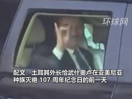 土耳其外长对亚美尼亚抗议者做出“灰狼”手势