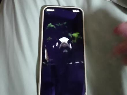 手机默认总是会匹配一些锁屏海报的壁纸,如果你不喜欢这些壁纸,那你可以通过这个方法关闭