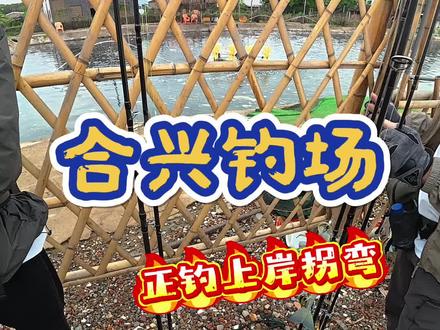 合兴石斑路亚正钓上岸拐大弯 #黑坑石斑 #赛博大虾 #路亚才是抖音顶流运动 #随时随地标记一下 #路亚新手入门教程