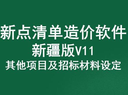#新点软件技能提升系列-其他项目设置