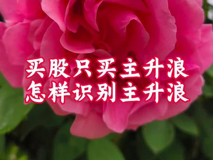 探底回升风险解除 #股票 #投资 #原创 #上热门🔥 #口播