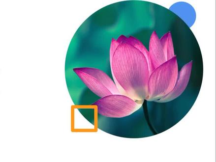 经典课文学习《荷塘月色》第一课:了解作者、背景和课文内容