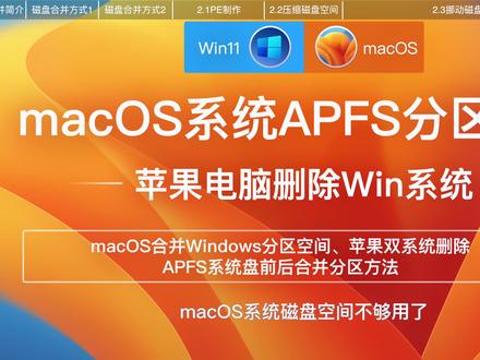 macOS系统APFS分区扩容黑苹果电脑删除Windows系统操作方法教程 #电脑技巧 #电脑知识 #电脑