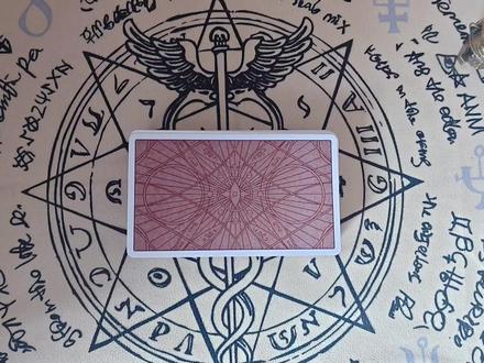 王曼昱2026?#王曼昱 #香港总决赛 #王曼昱孙颖莎 #乒乓球 #wtt