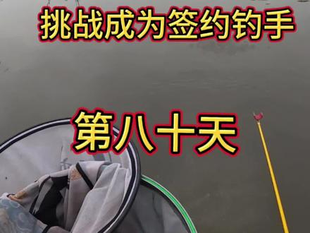 挑战成为签约钓手,到底需要花费多少米#钓鱼 #钓鱼人