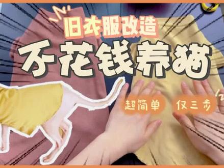 如何不花钱养猫,0成本改造猫咪衣服,拿出你穿了10年的旧上衣,改造猫咪衣服。剪下来袖子 .... #猫咪衣服