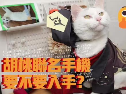 一加ace pro胡桃联名手机要不要入手?超多亮点曝光!#原神 #猫 #胡桃 #一加 #手机 #数码产品