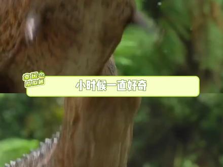 原来恐龙前肢还有这样的作用
#霸王龙 #冷知识 #搞笑 #反转 #万万没想到