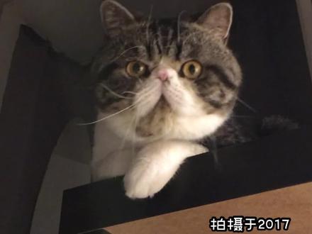 求不要限流,我是真的很受困扰,真心向大家求助😰😰,谁知道呀?