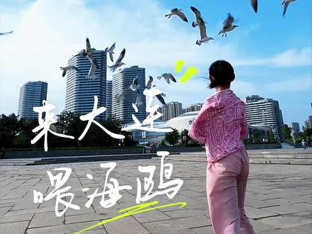 我教喃们喂海鸥,一喂就吃,一点不浪费#大连喂海鸥