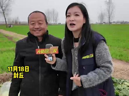 翟好宁:一起助农,买点俺村大白菜 #翟好宁 #助农 #三农