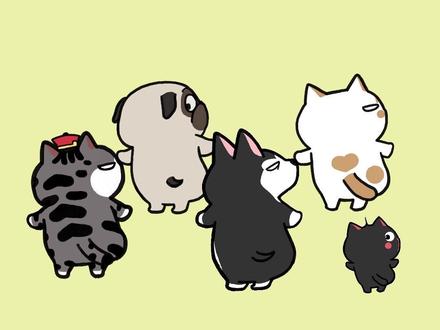 分享给可爱的人看~
#吾皇巴扎黑 #舞蹈 #轻漫计划 #可可爱爱