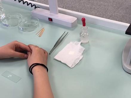 石家庄中考生物酵母菌实验 中考生物实验分值关键,校内练习有限。
专业梳理必考实验,实操演练夯实基础,
规范操作掌握技巧,补齐薄弱弱项,轻松应对考试。#石家庄中考 #中考实验 #生物实验