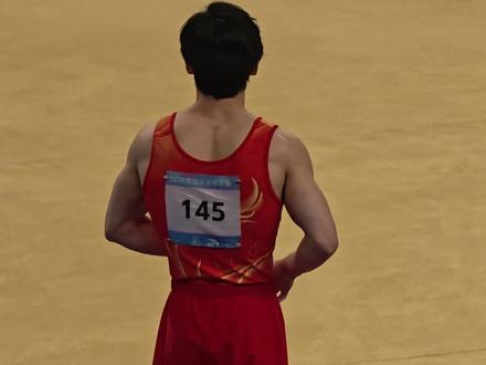 一套很美丽的自由操,5.0+8.733+0.1=13.833#张博恒 #2026体操全锦赛 #自由体操