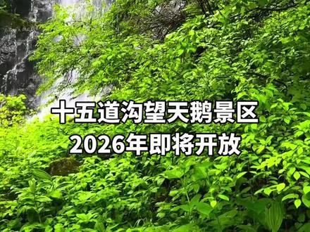 十五道沟望天鹅景区2026年即将开放